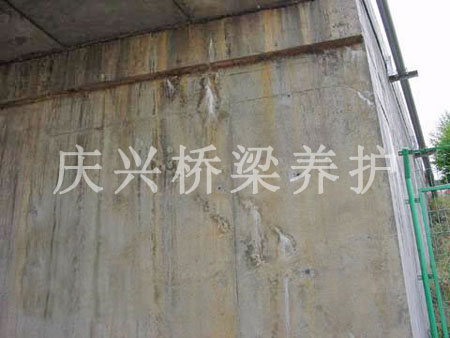 ����ѿp���a